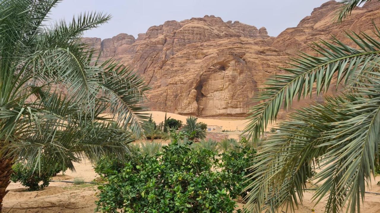الجوهرة Diamond Plus Villa Ал Ула Екстериор снимка