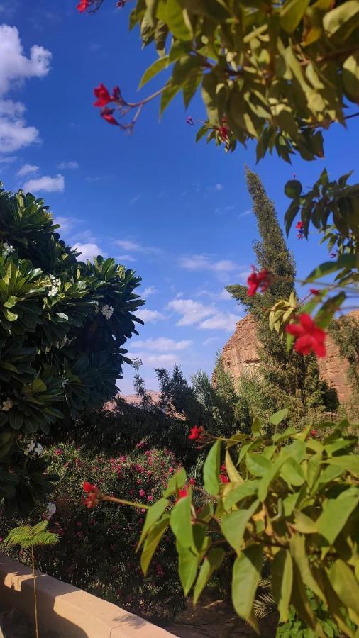 الجوهرة Diamond Plus Villa Ал Ула Екстериор снимка