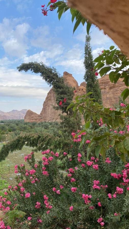 الجوهرة Diamond Plus Villa Ал Ула Екстериор снимка