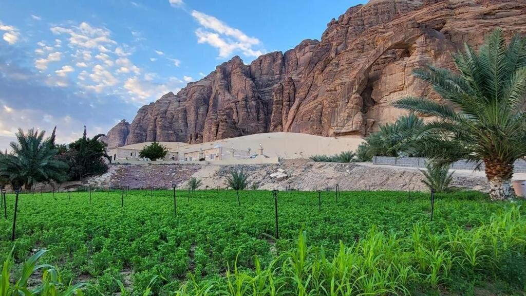 الجوهرة Diamond Plus Villa Ал Ула Екстериор снимка